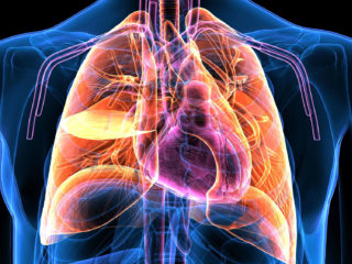  General Internal Medicine