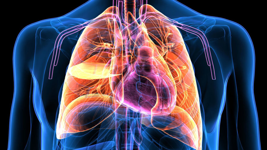 General Internal Medicine
